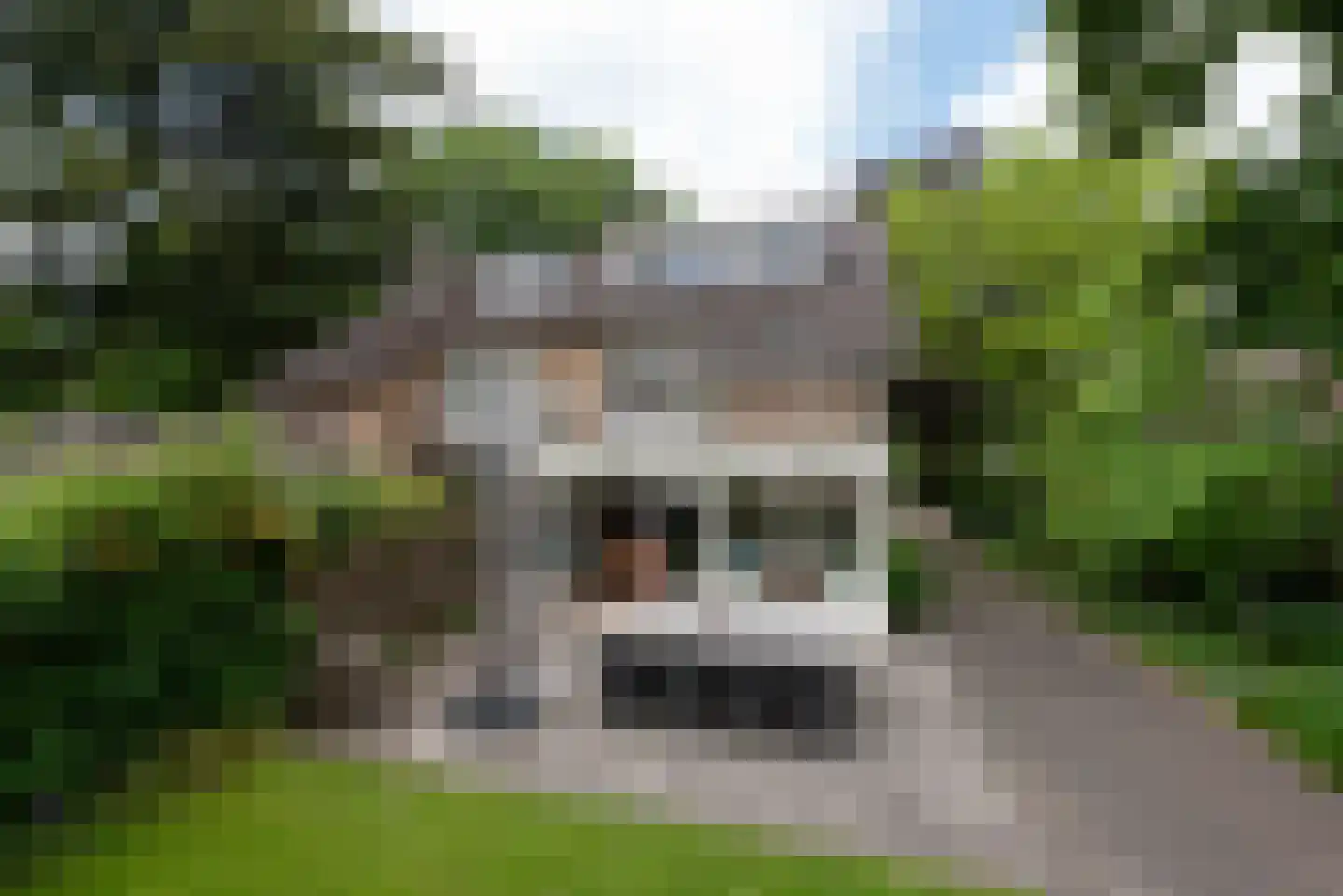 Beetslaan 21 Bilthoven thumbnail 54