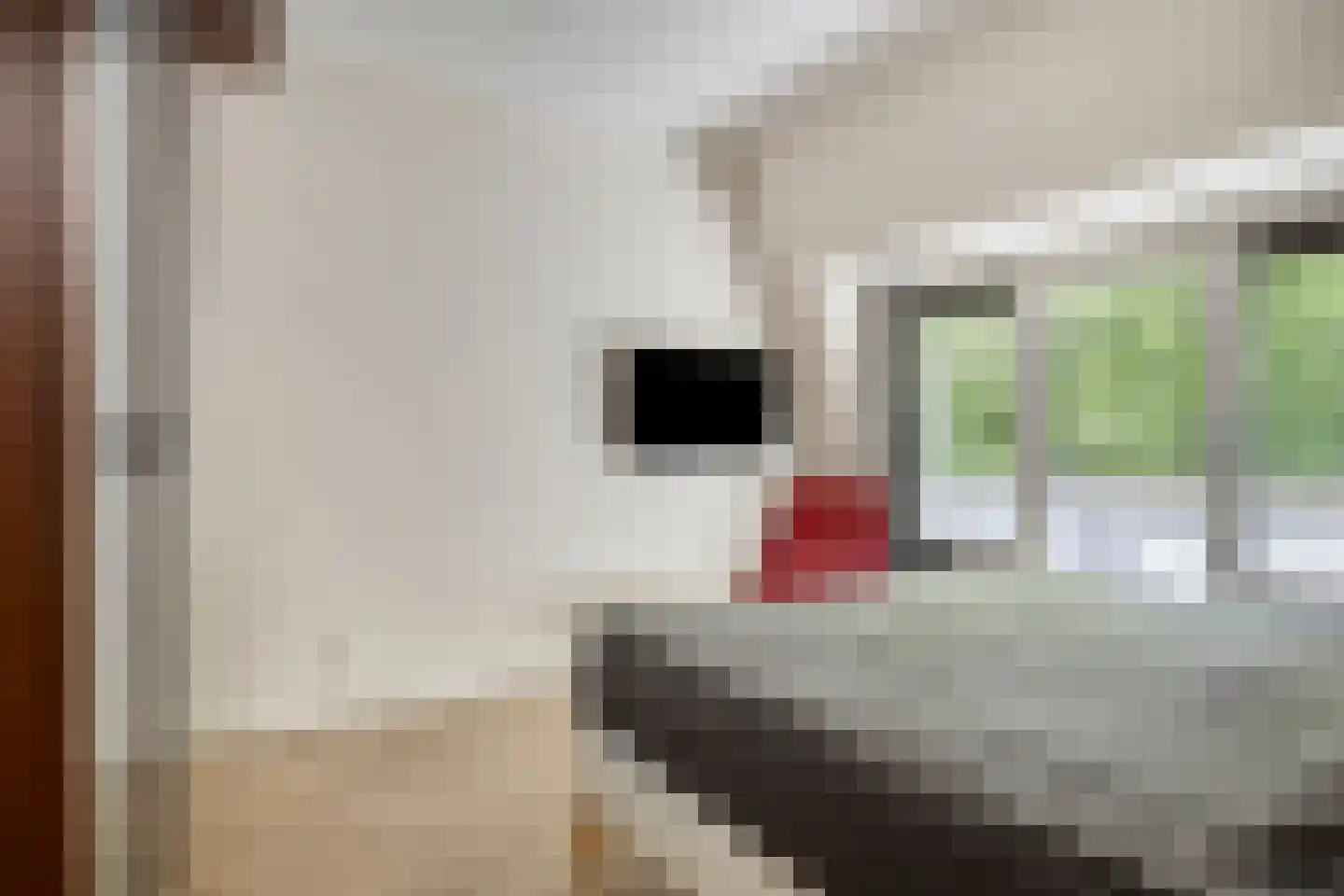 Beetslaan 232 Rijswijk thumbnail 19