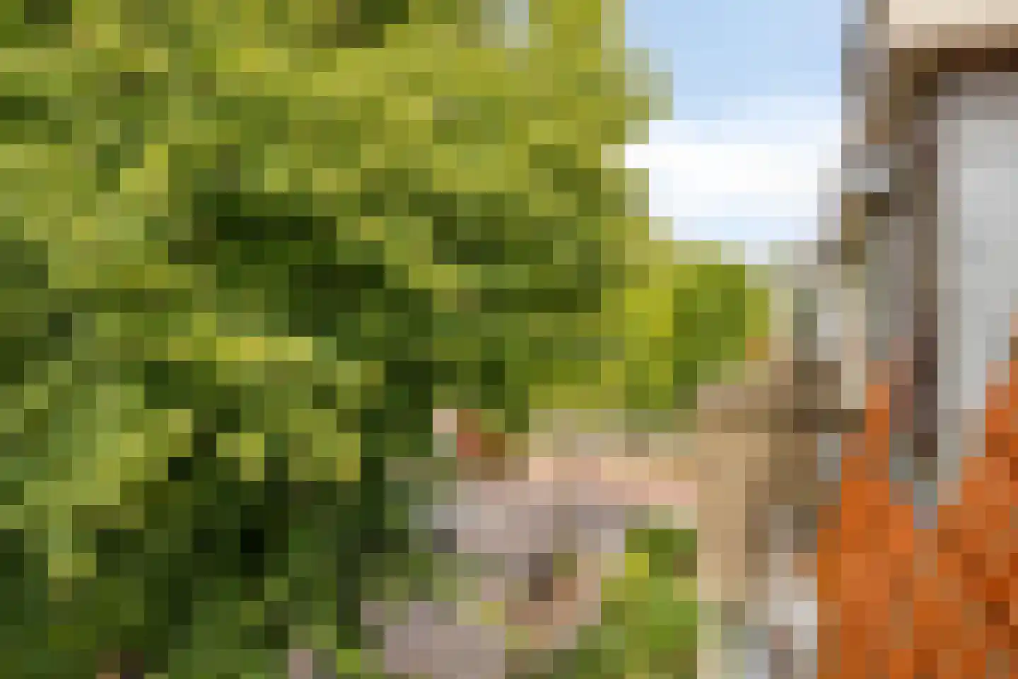 Beetslaan 232 Rijswijk thumbnail 21