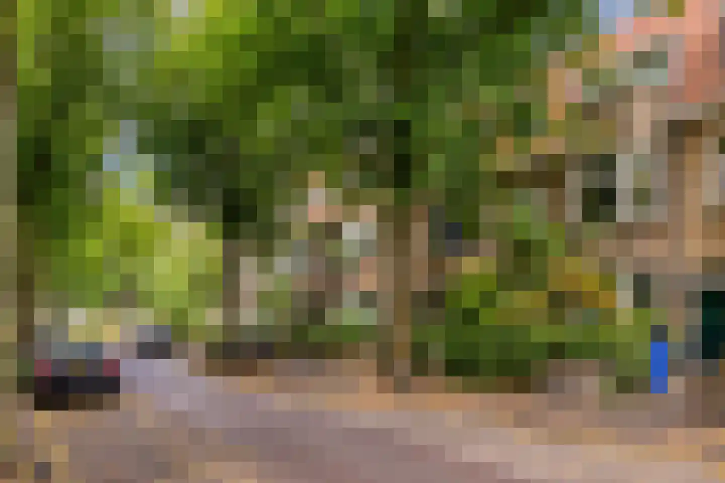 Beetslaan 232 Rijswijk thumbnail 25