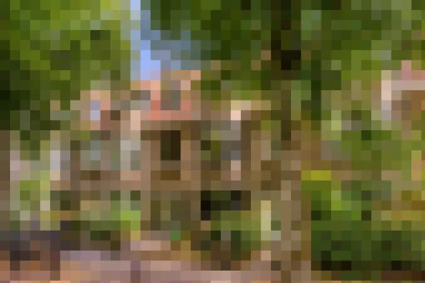 Beetslaan 232 Rijswijk thumbnail 6