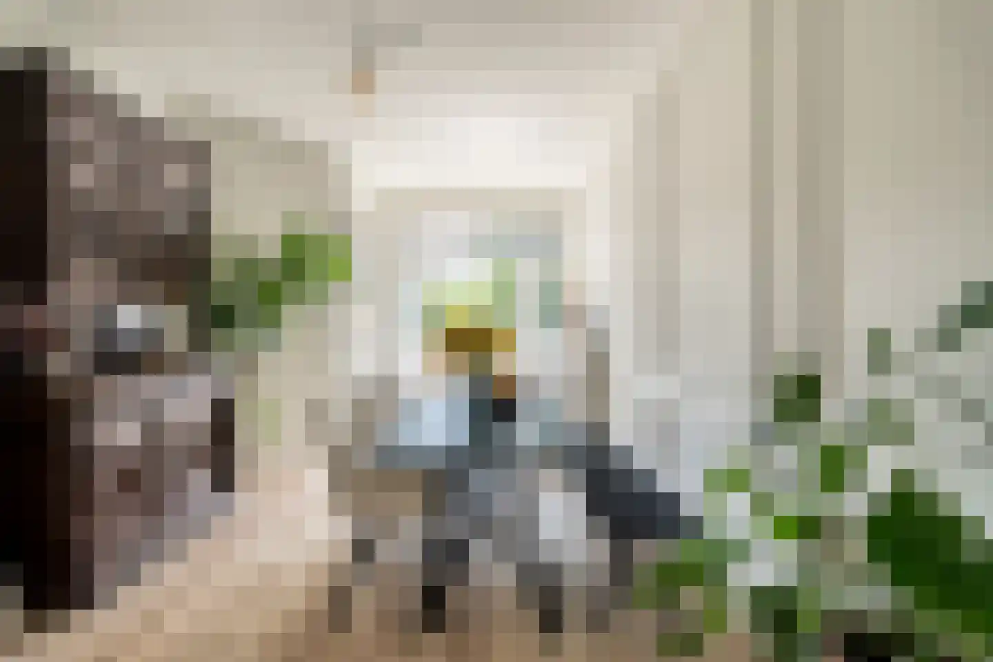 Beetslaan 28 Rijswijk thumbnail 15