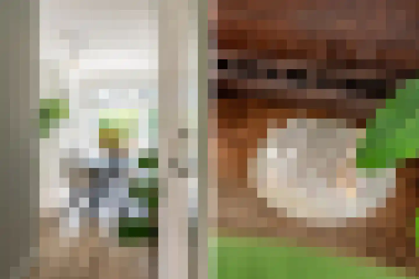 Beetslaan 28 Rijswijk thumbnail 17
