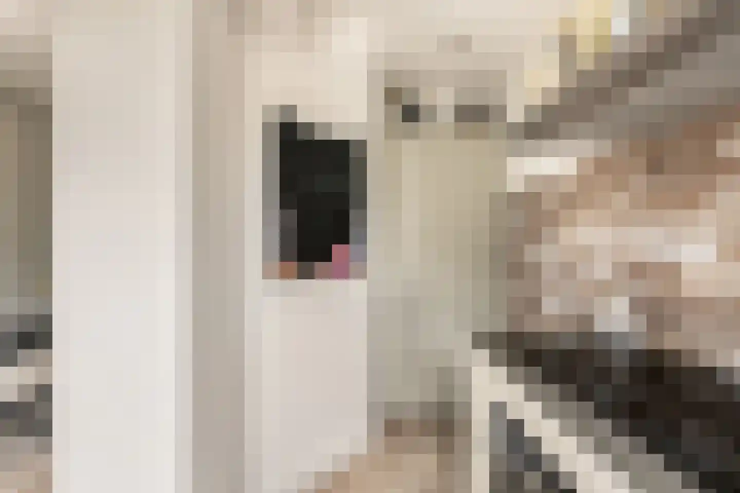 Beetslaan 28 Rijswijk thumbnail 20