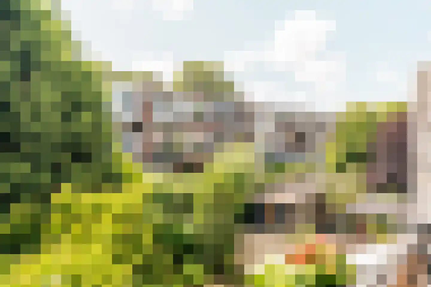 Beetslaan 28 Rijswijk thumbnail 24