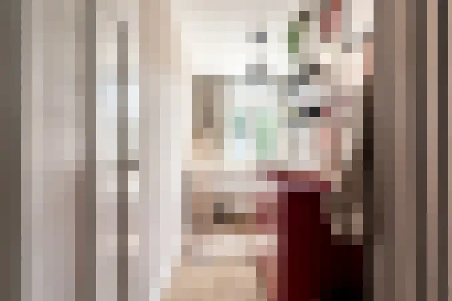 Beetslaan 28 Rijswijk thumbnail 30