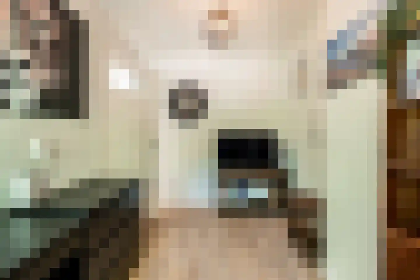 Beetslaan 28 Rijswijk thumbnail 34