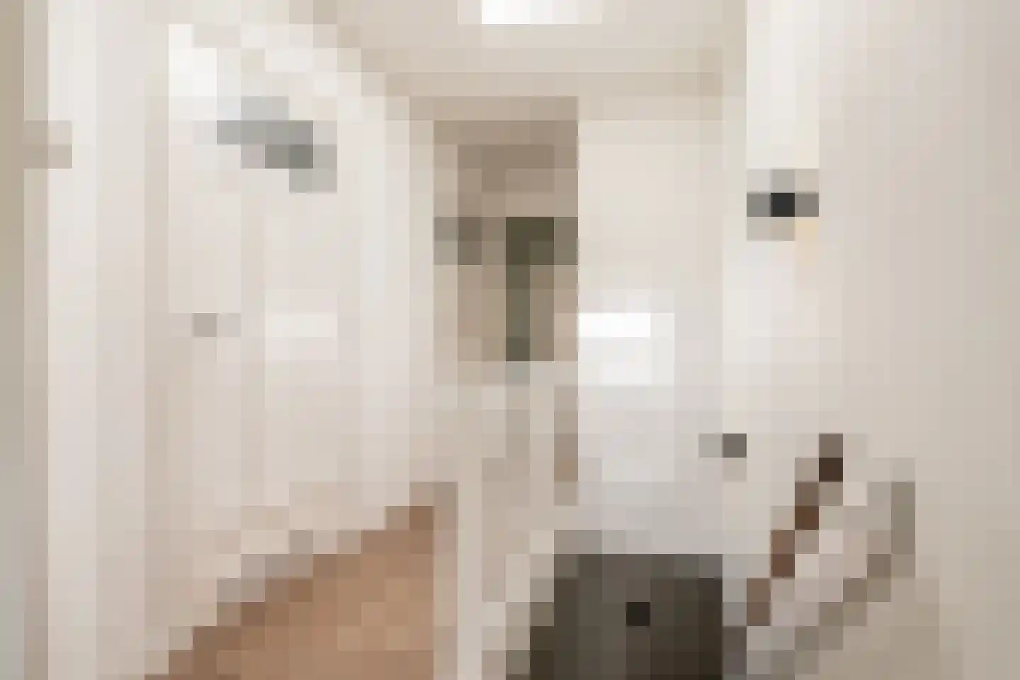 Beetslaan 28 Rijswijk thumbnail 36
