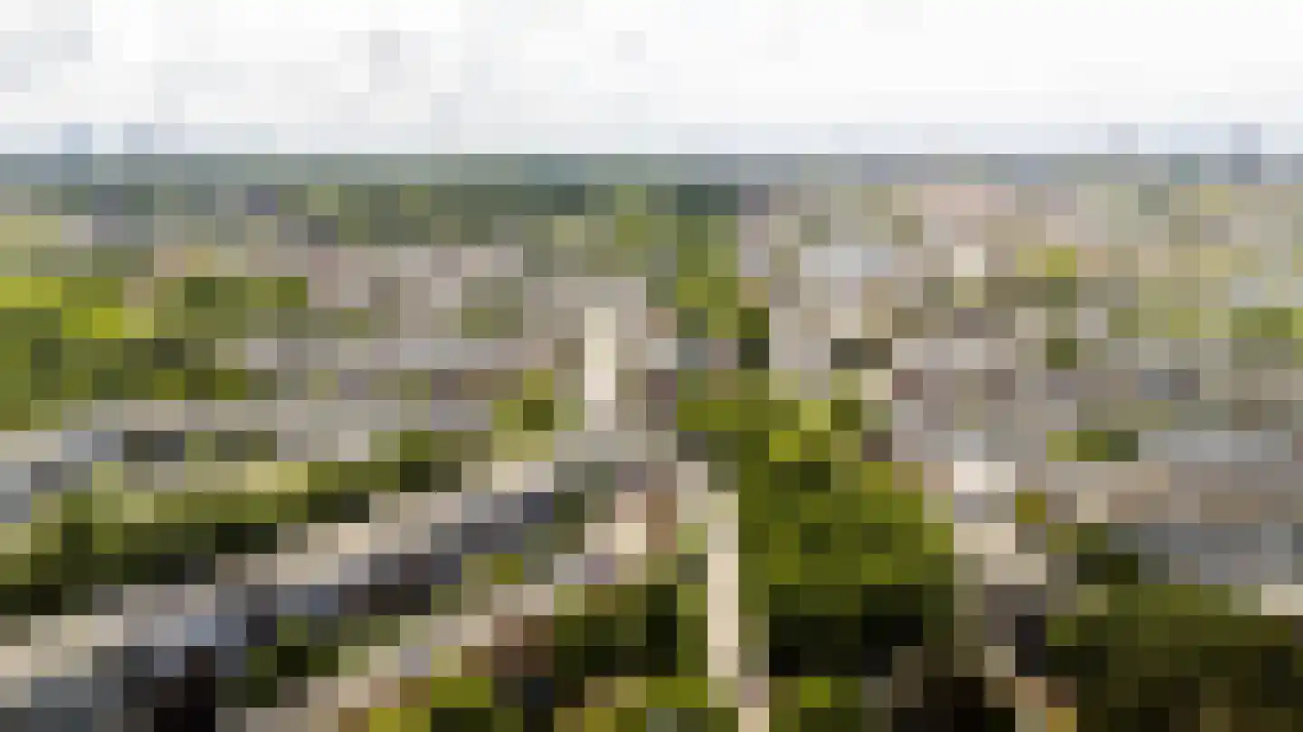 Beetslaan 28 Rijswijk thumbnail 41