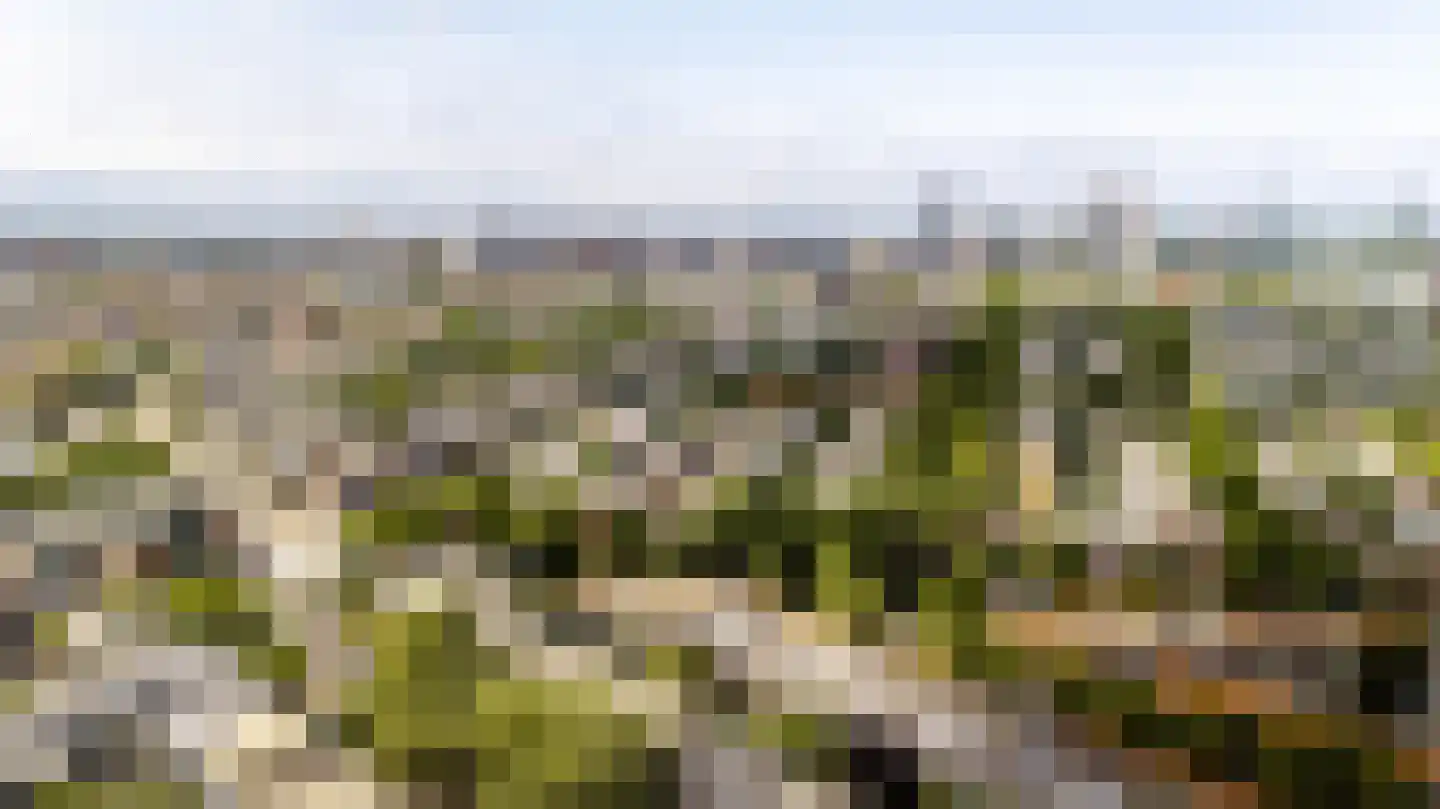 Beetslaan 28 Rijswijk thumbnail 42
