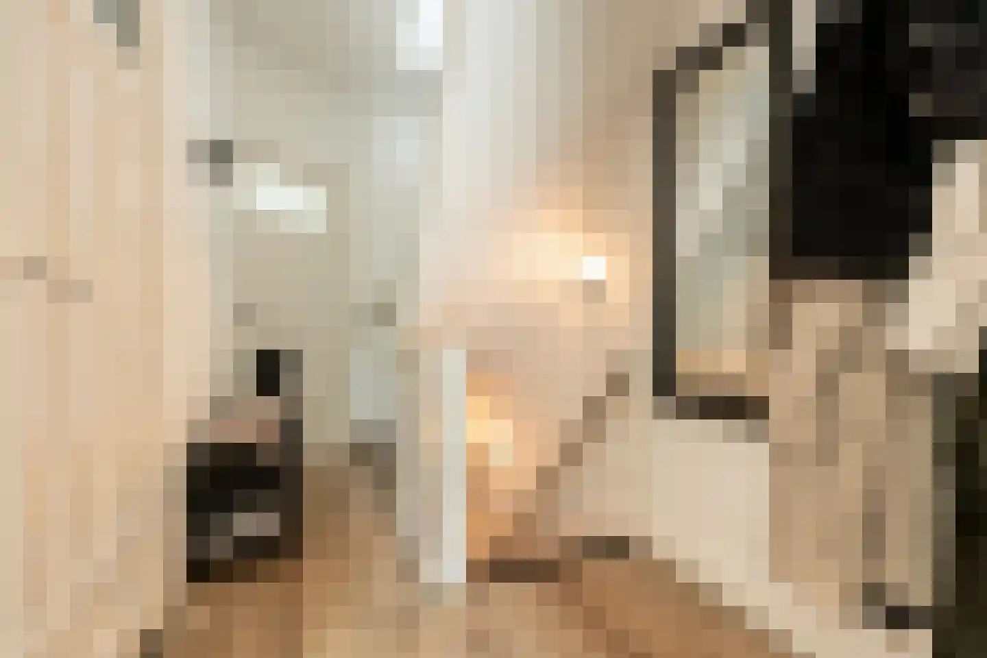 Beetslaan 28 Rijswijk thumbnail 9