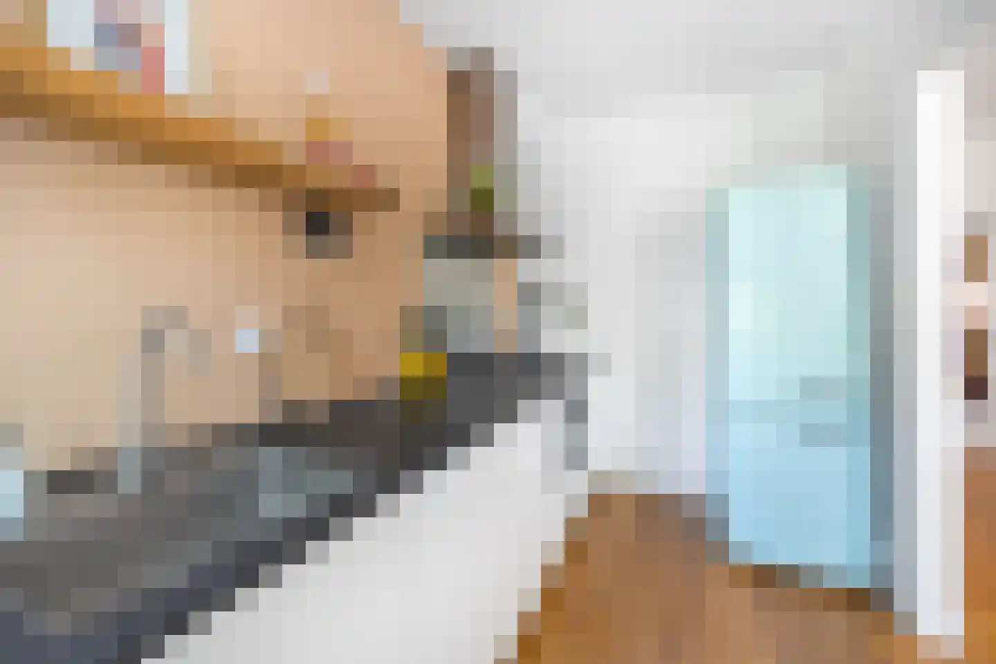 Beetslaan 29 Rijswijk thumbnail 16