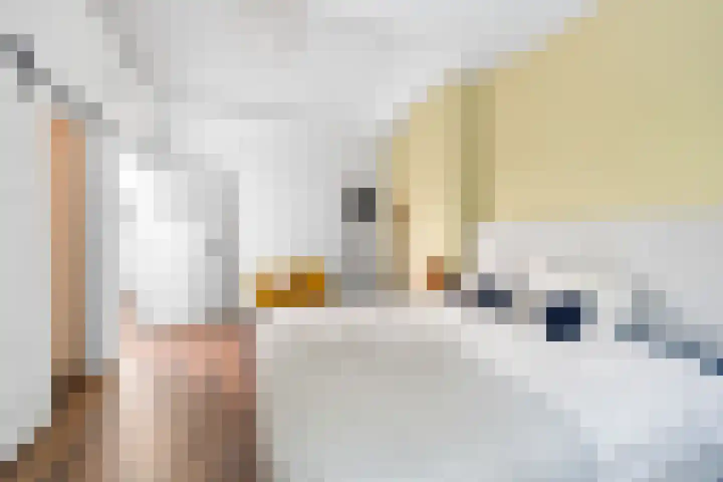 Beetslaan 29 Rijswijk thumbnail 23