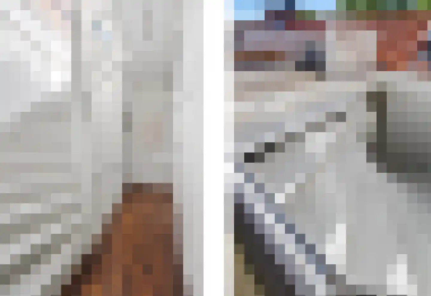 Beetslaan 29 Rijswijk thumbnail 30