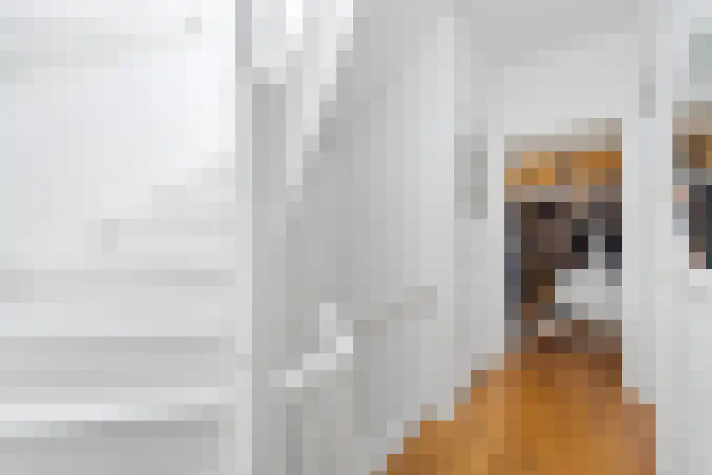 Beetslaan 29 Rijswijk thumbnail 6