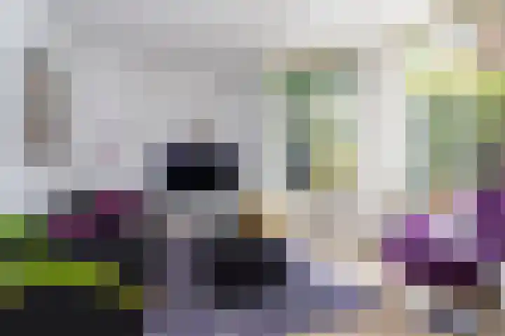 Beetslaan 3 Rijswijk thumbnail 14