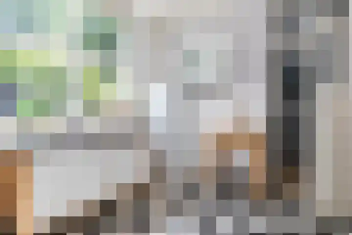 Beetslaan 3 Rijswijk thumbnail 19