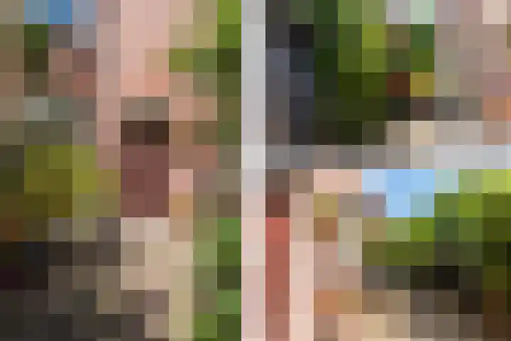 Beetslaan 3 Rijswijk thumbnail 4