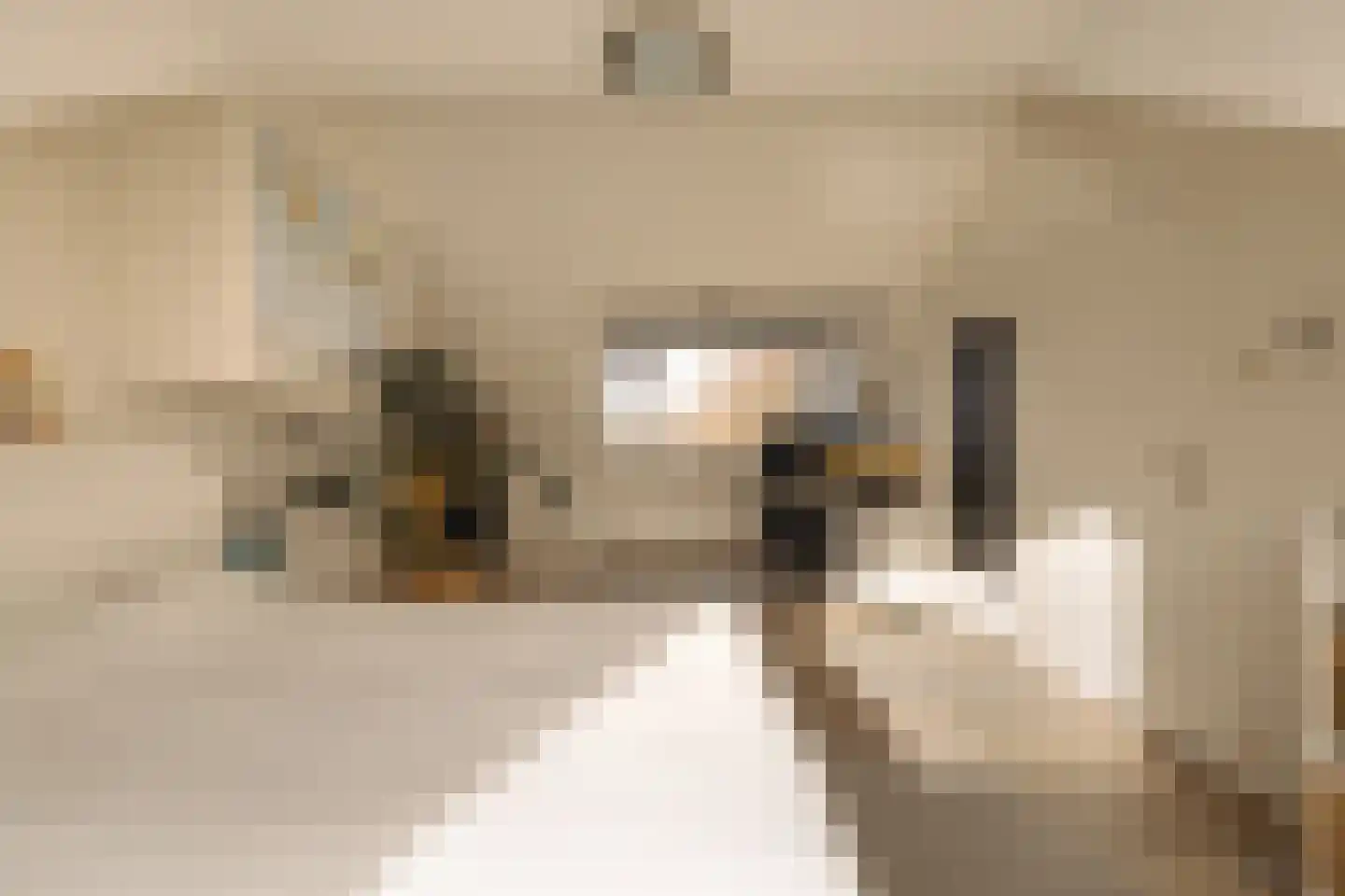 Beetslaan 4 Voorschoten thumbnail 29
