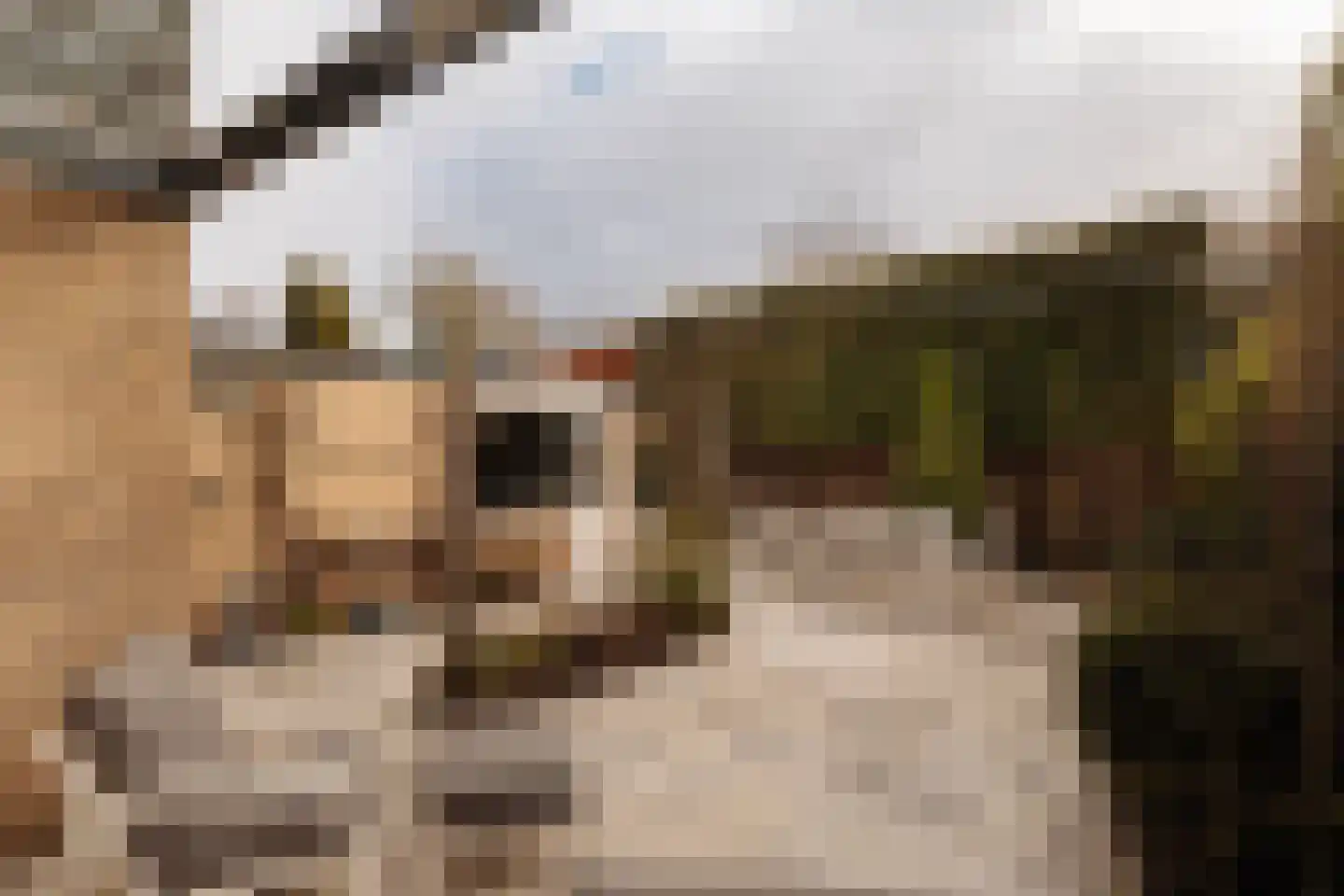 Beetslaan 4 Voorschoten thumbnail 36