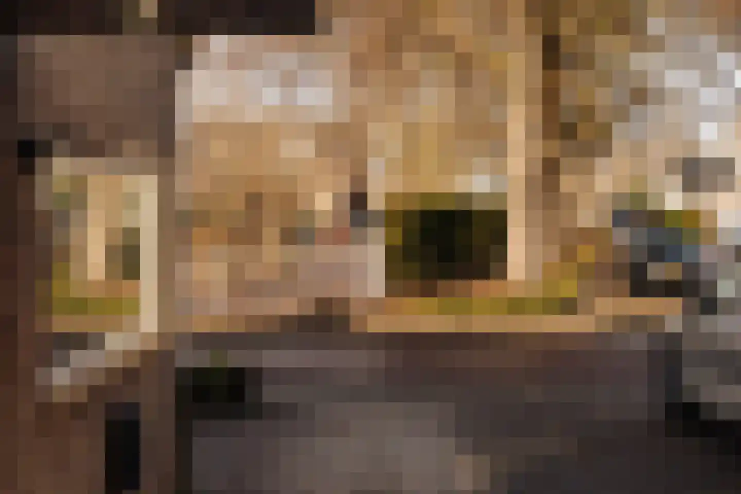 Beetslaan 4 Voorschoten thumbnail 39