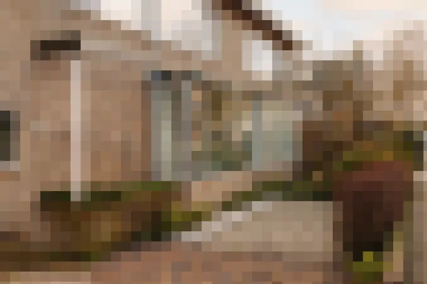 Beetslaan 4 Voorschoten thumbnail 4