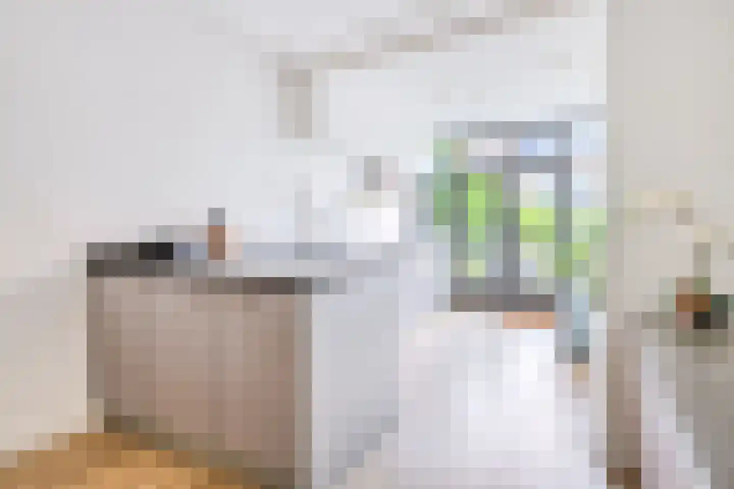 Beetslaan 41 Rijswijk thumbnail 11