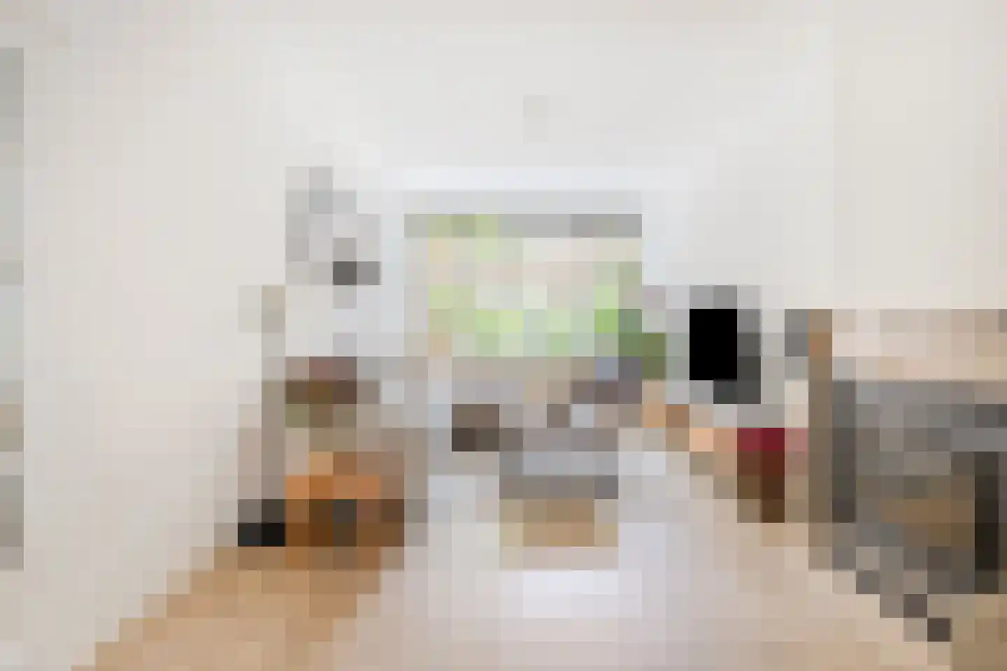 Beetslaan 41 Rijswijk thumbnail 7