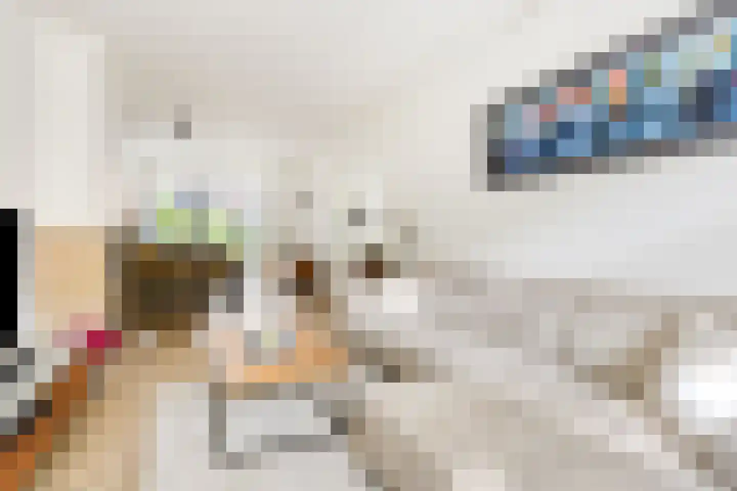 Beetslaan 41 Rijswijk thumbnail 9