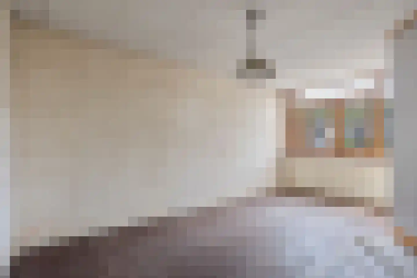 Beetslaan 42 Rijswijk thumbnail 12