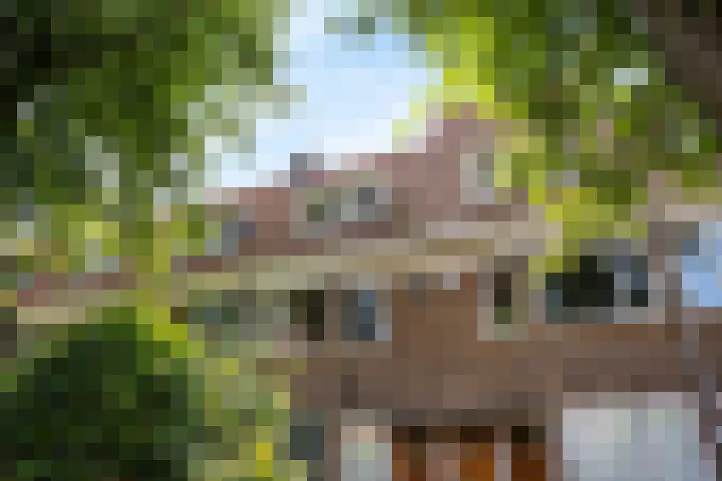 Beetslaan 42 Rijswijk thumbnail 24