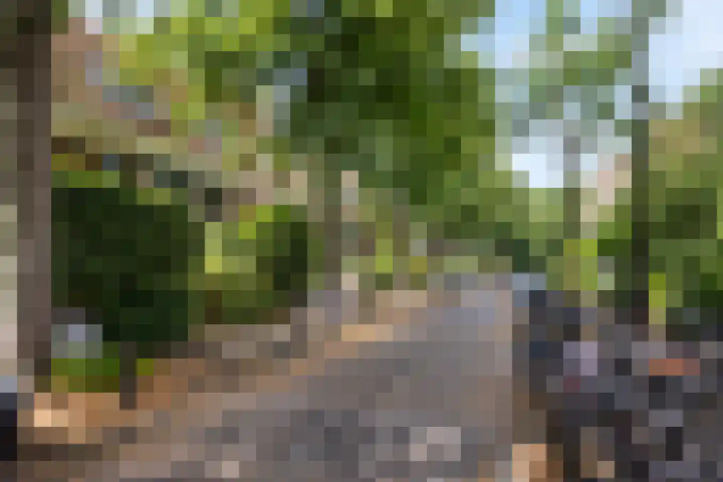 Beetslaan 42 Rijswijk thumbnail 27