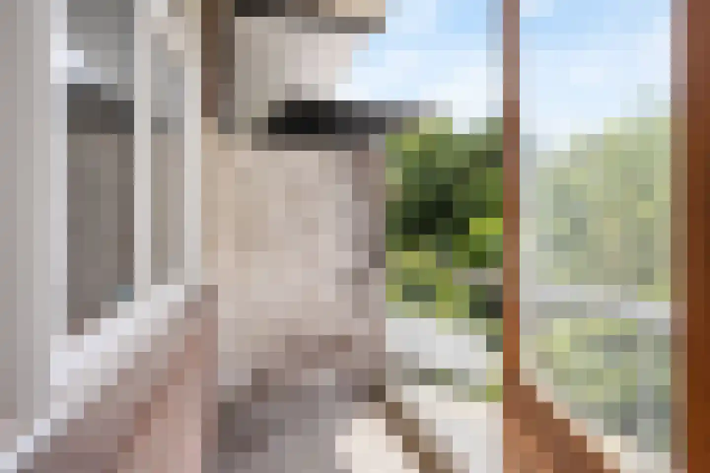 Beetslaan 42 Rijswijk thumbnail 8