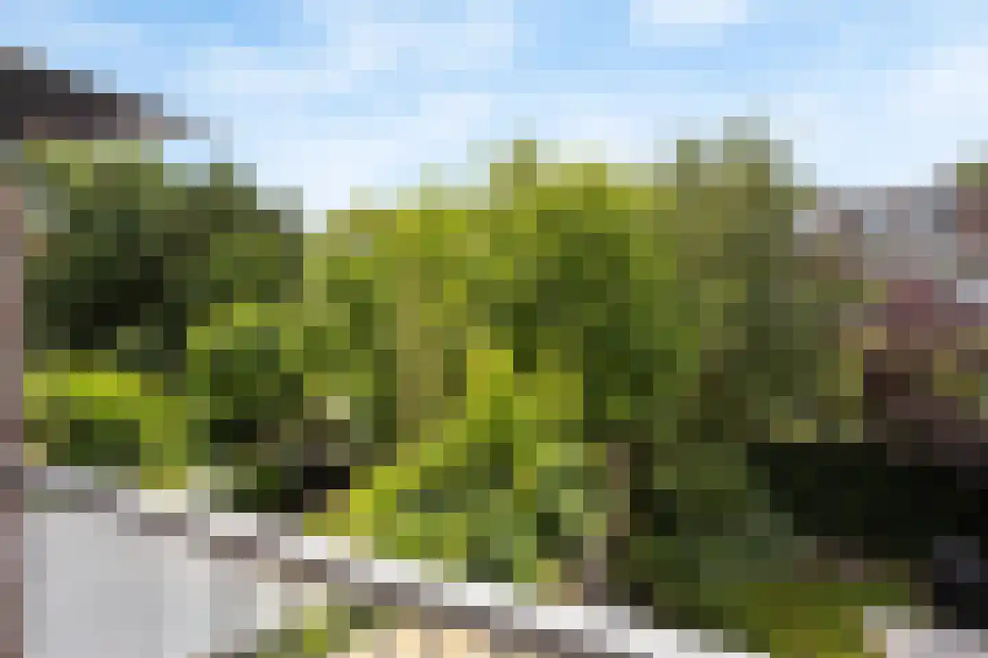 Beetslaan 42 Rijswijk thumbnail 9