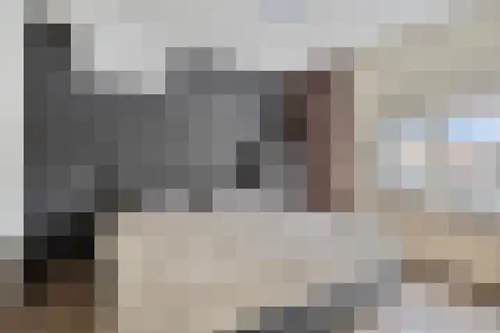 Beetslaan 5 Hoogezand thumbnail 13