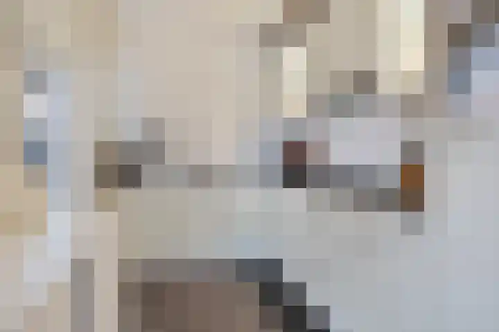 Beetslaan 5 Hoogezand thumbnail 4
