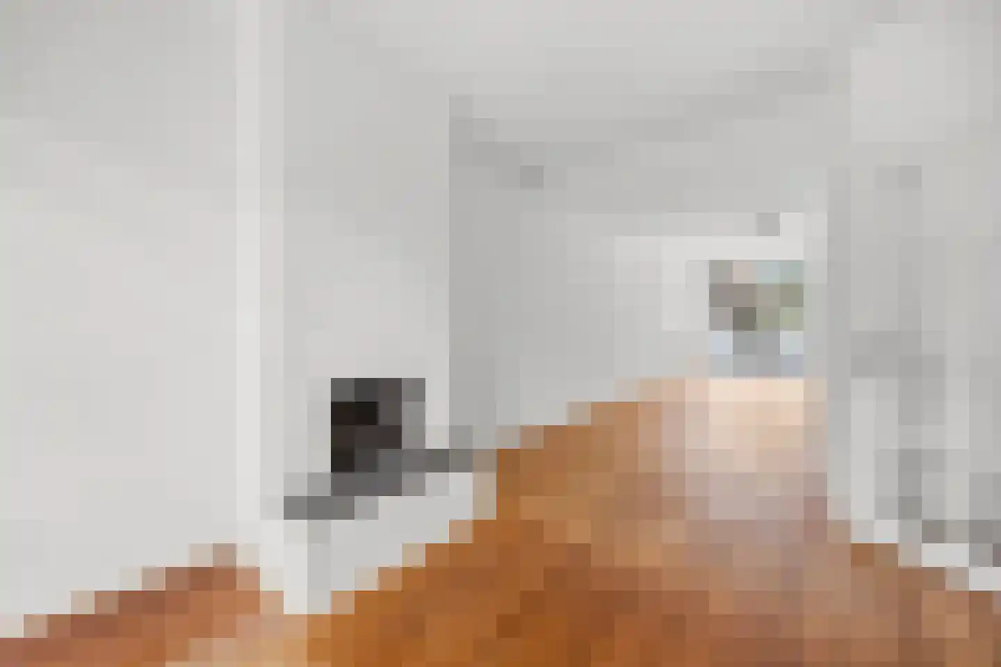 Beetslaan 58 Rijswijk thumbnail 11