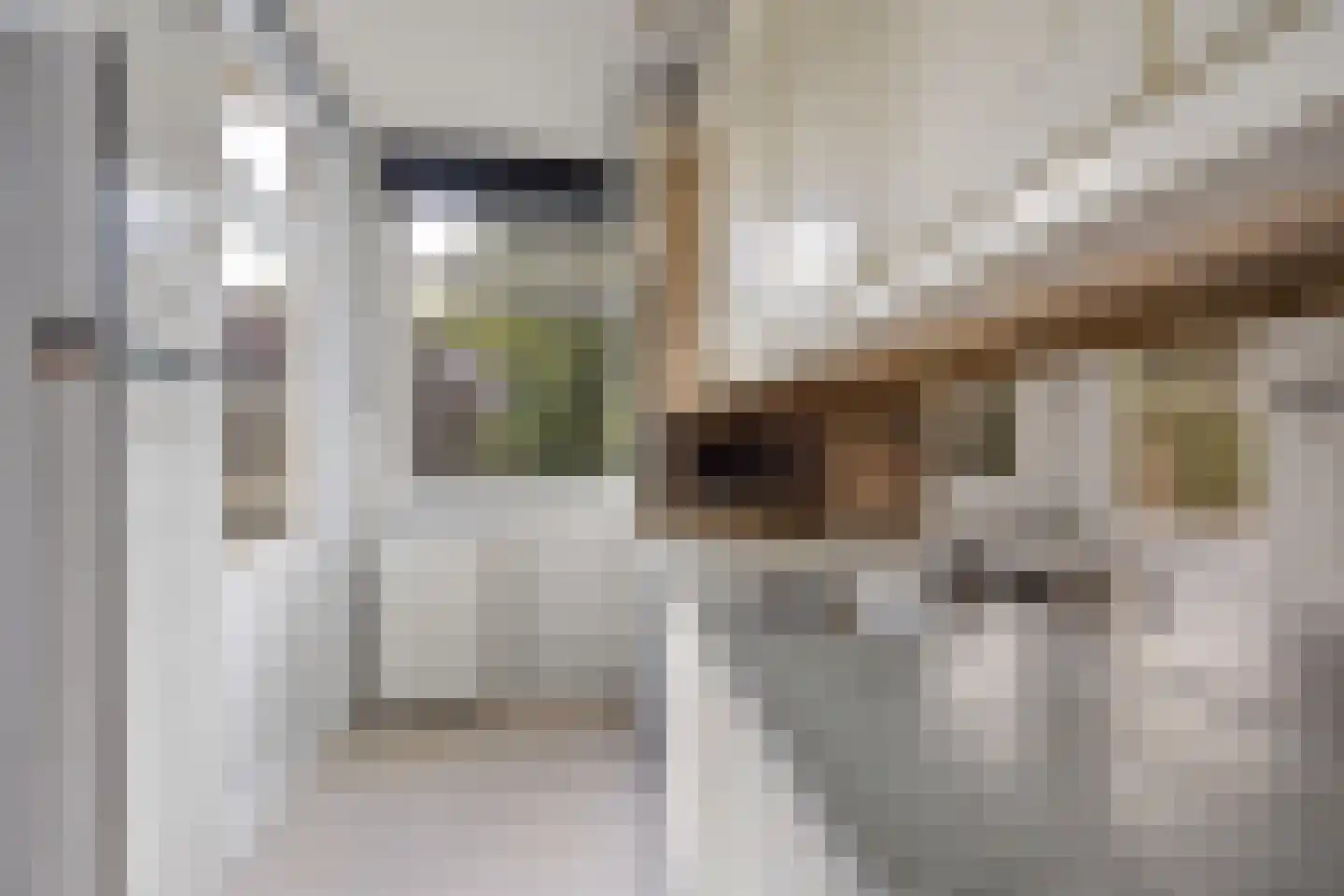 Beetslaan 58 Rijswijk thumbnail 16