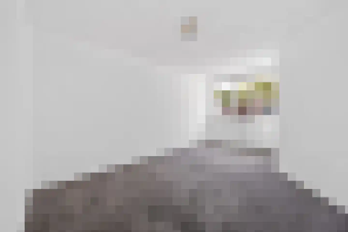 Beetslaan 58 Rijswijk thumbnail 24