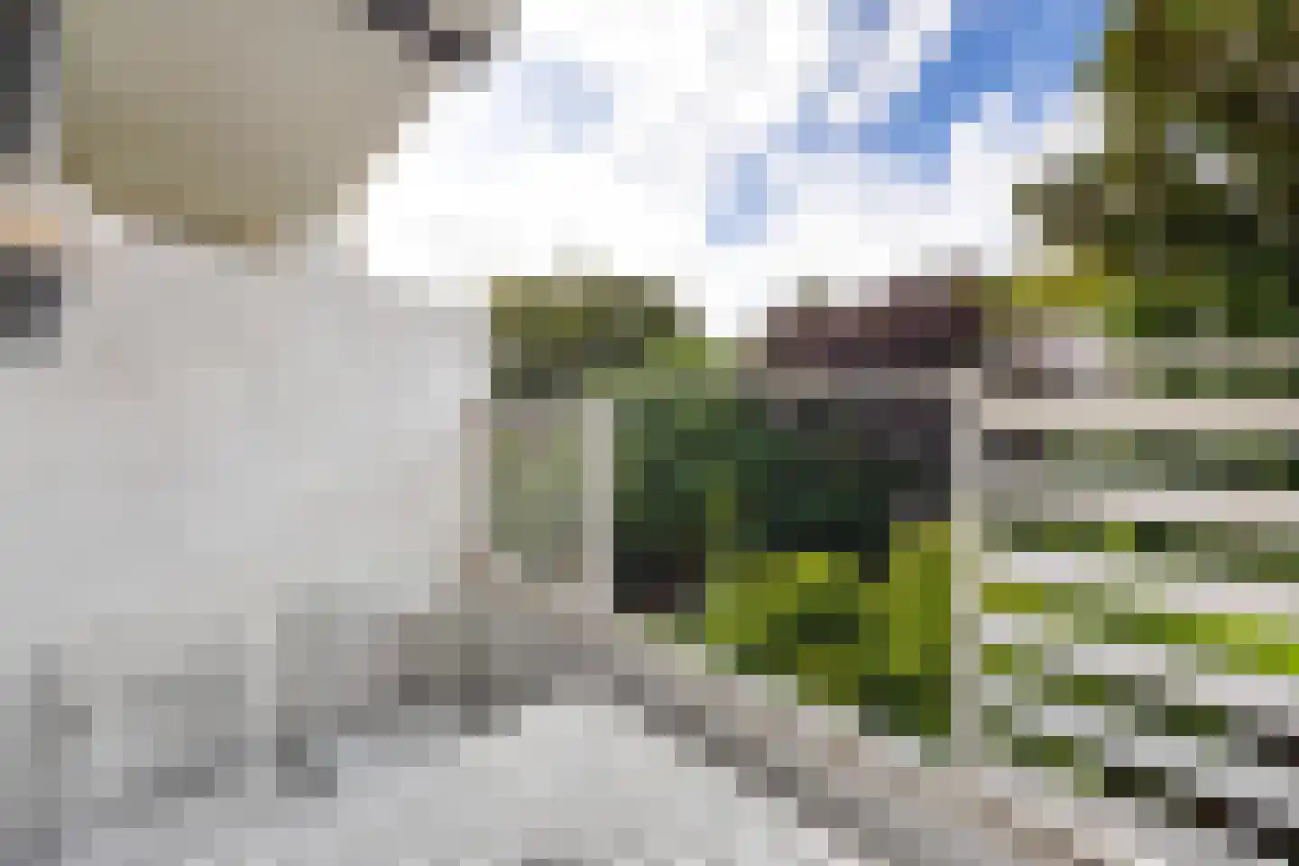 Beetslaan 58 Rijswijk thumbnail 5
