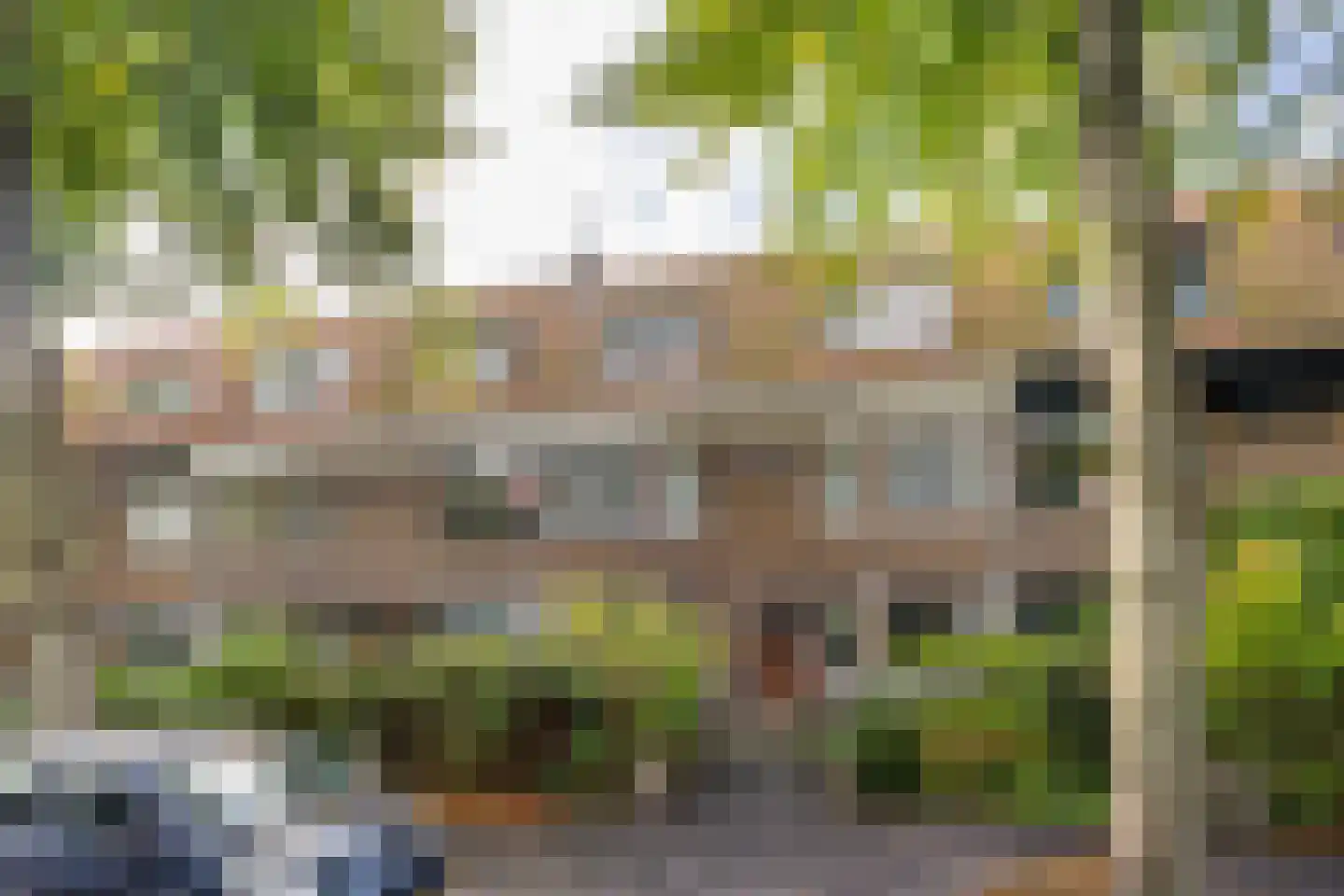Beetslaan 58 Rijswijk thumbnail 7