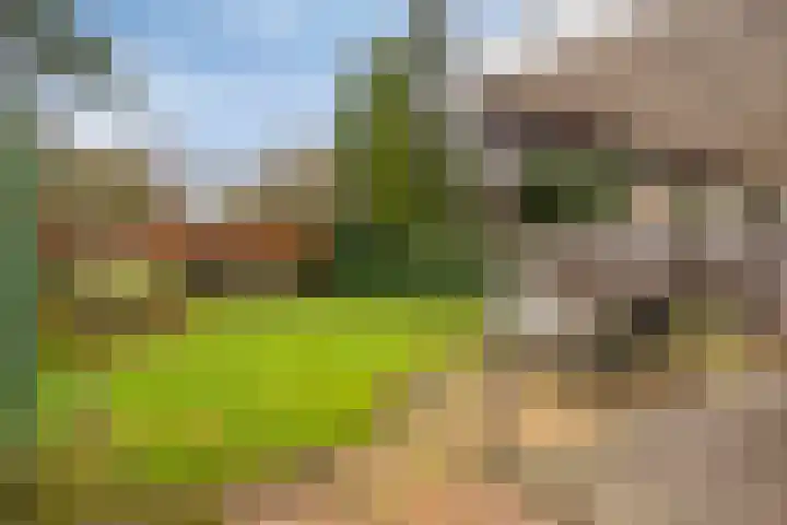 Beetslaan 6 Amersfoort thumbnail 30
