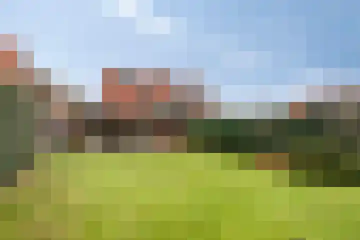 Beetslaan 6 Amersfoort thumbnail 32