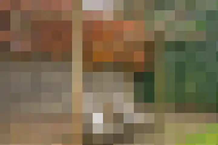Beetslaan 6 Amersfoort thumbnail 34