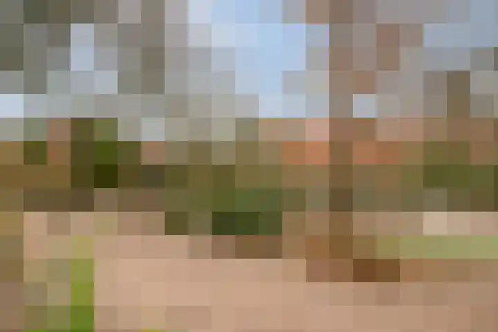 Beetslaan 6 Amersfoort thumbnail 35