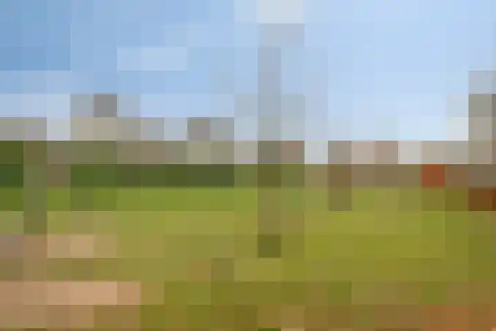 Beetslaan 6 Amersfoort thumbnail 36