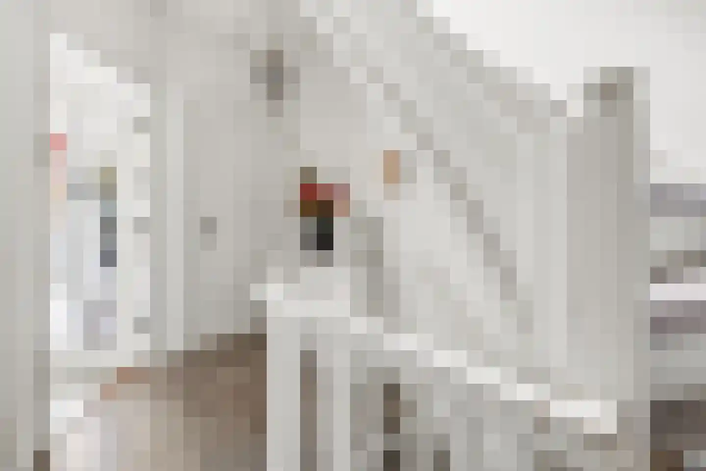 Beetslaan 6 Rijswijk thumbnail 10