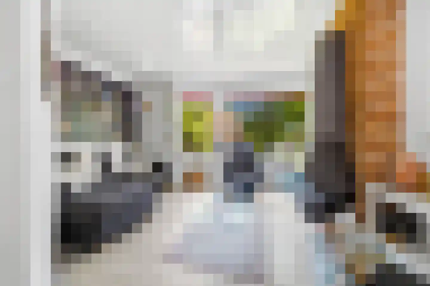 Beetslaan 6 Rijswijk thumbnail 11