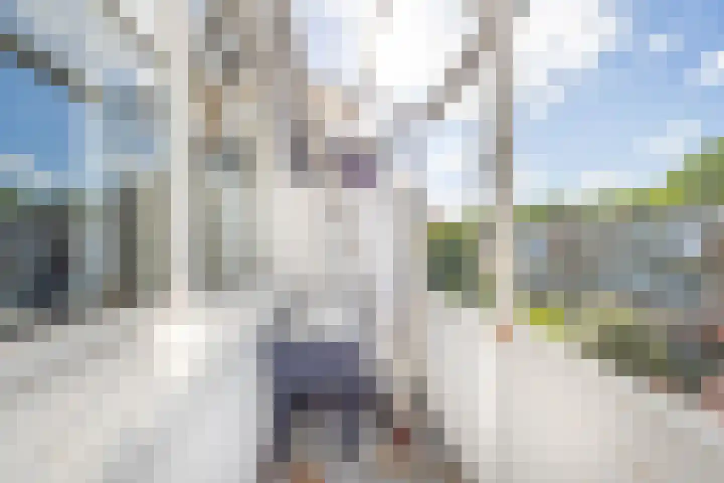 Beetslaan 6 Rijswijk thumbnail 19