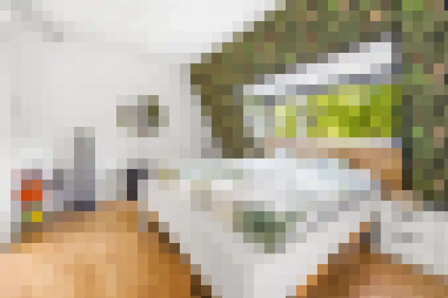 Beetslaan 6 Rijswijk thumbnail 21